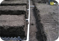 Septic Field