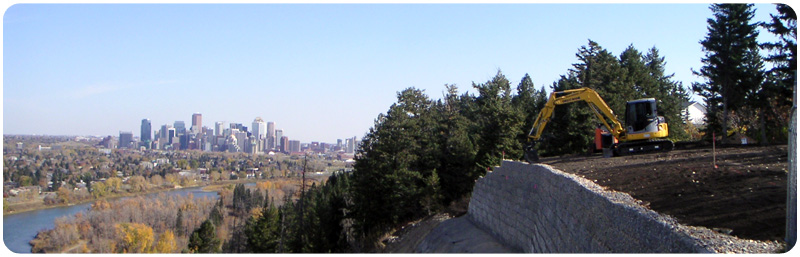 Calgary City Skyline